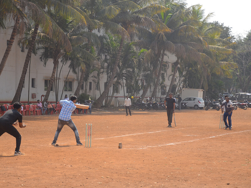 Cricket1