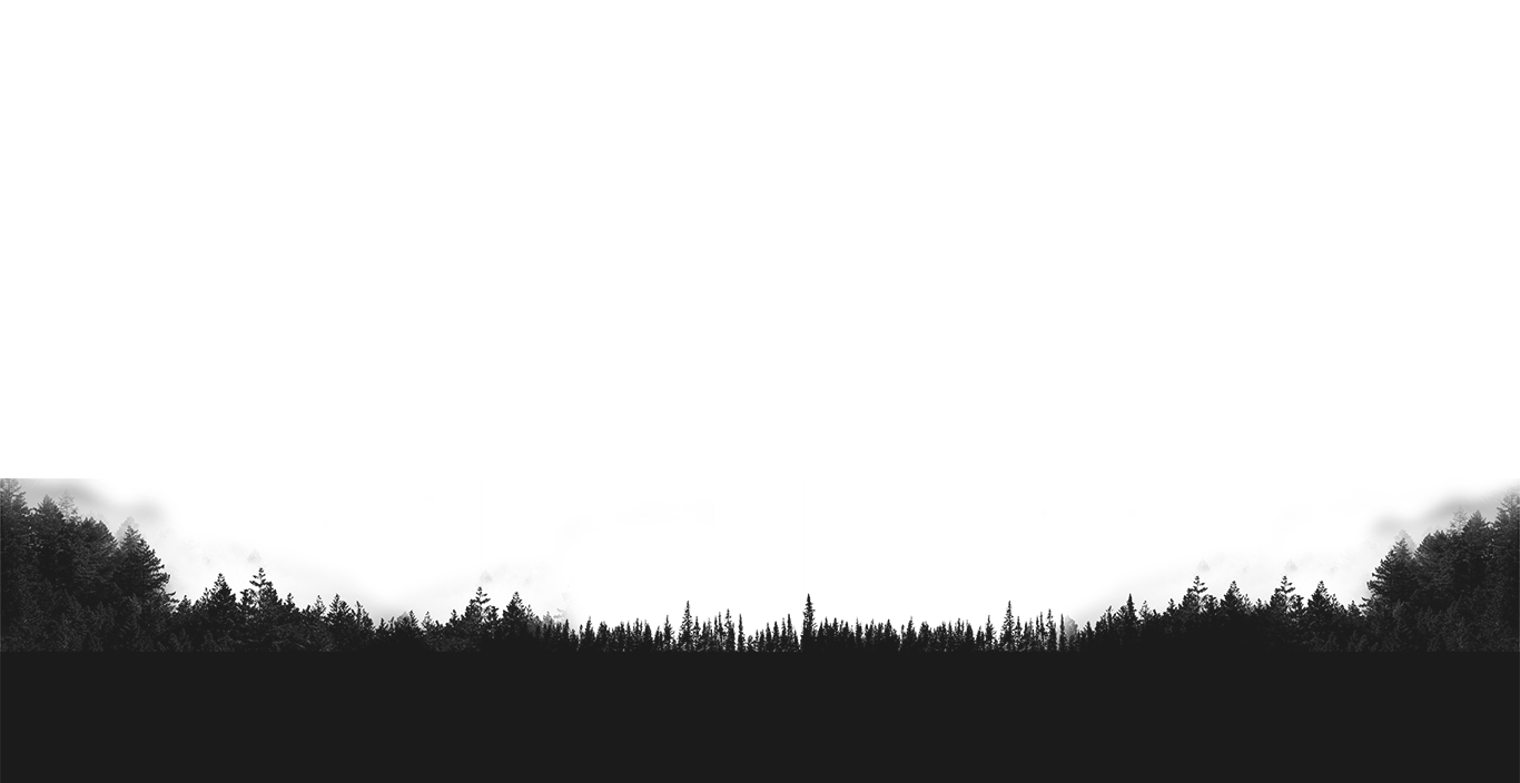 Ascent to Absolute Engineering