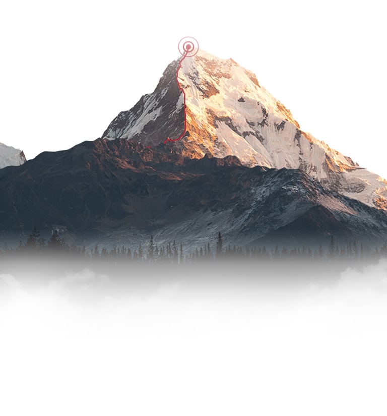 Ascent to Absolute Engineering